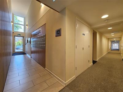 Picture 24